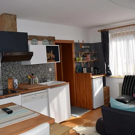 4 Elements Appartmenthaus Monarda Flachau Pokoj fotografie