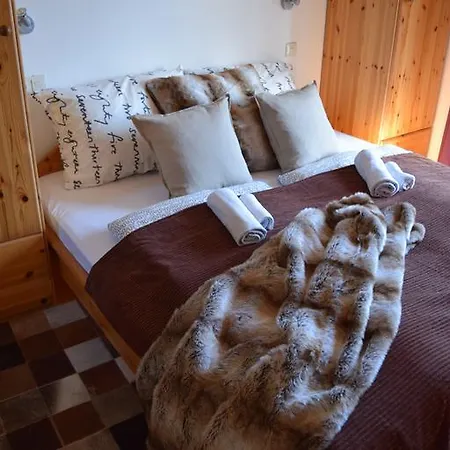4 Elements Appartmenthaus Monarda Flachau Pokoj fotografie